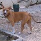 con 6 mese